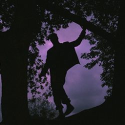 Photo of Kadeem Jenkins silhouette standing in tree